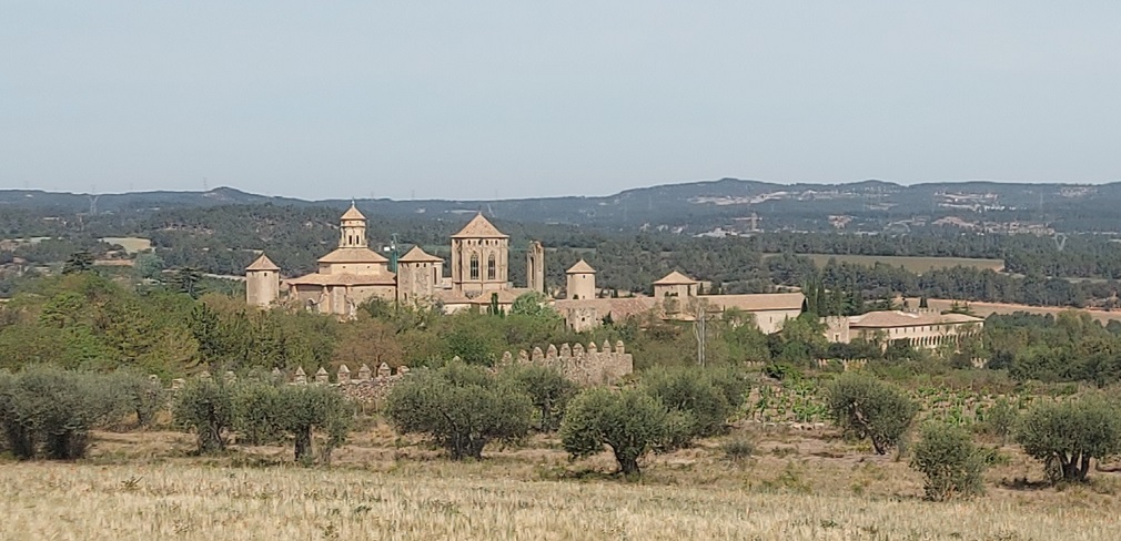 Monestir de Santa Maria de Poblet - 2023